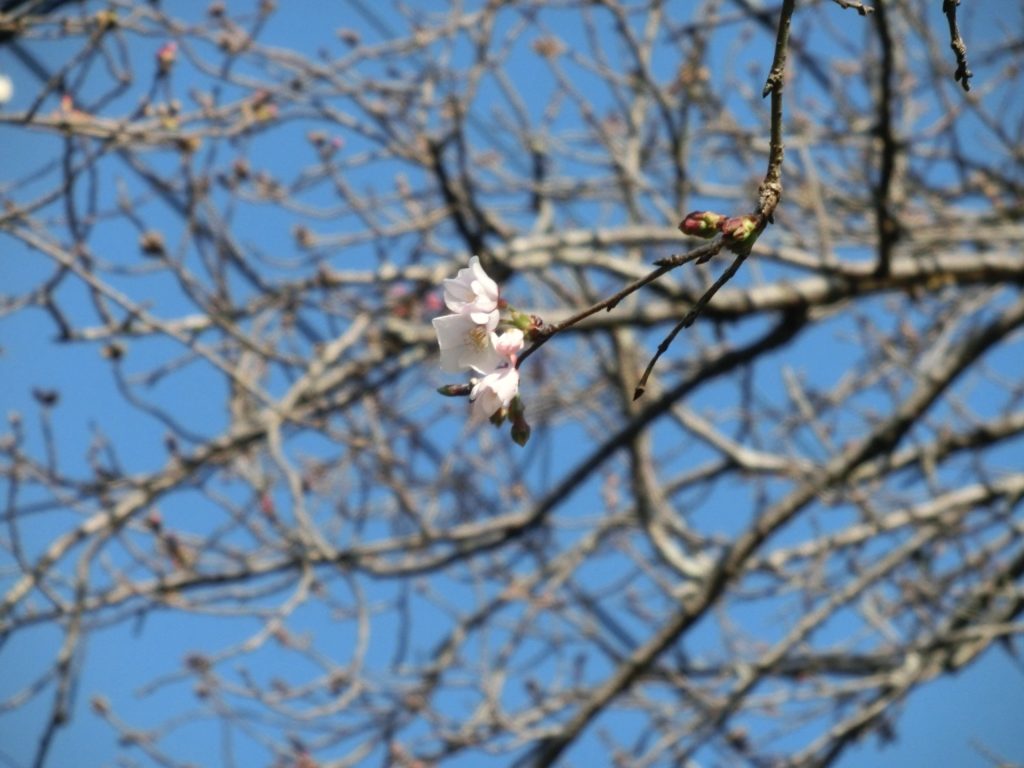 cimg0269